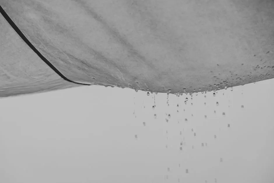 Slab Leak Signs: How to Spot a Leak Under Your Georgia Home
